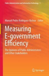 Measuring E-Government Efficiency